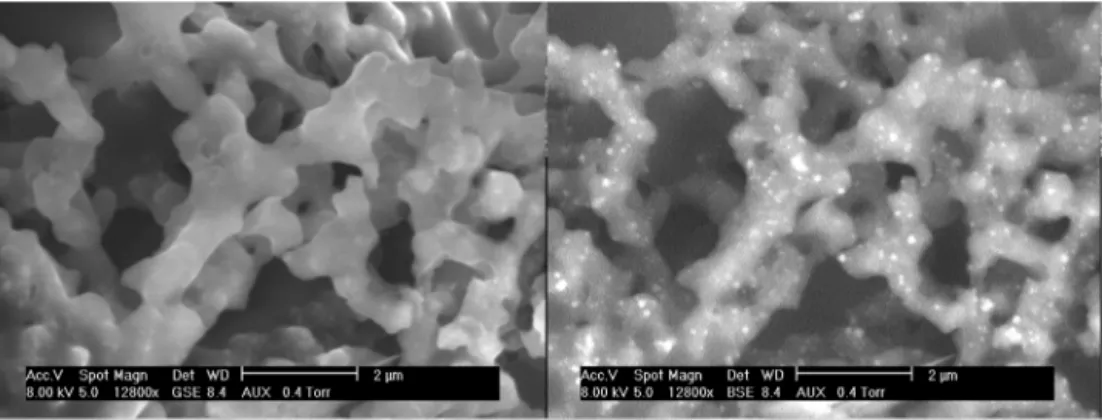 Fig. 8. ESEM images of the solid recovered after faster heating and quenching and 18 h reaction time (CT 18 h) using GSE and BSE detectors at the same location and magniﬁcation (x12800).