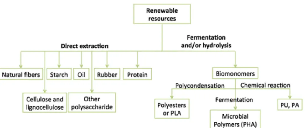 Fig. 5. Different ways for obtaining biobased polymers (adapted from Ref. [38]).