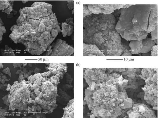Fig. 6. SEM pictures of partially (a) and completely (b) complexed powders.