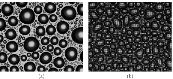 Figure 21: Diﬀerences between shape of droplets on the ﬂat and pillared surfaces, (a) spherical droplets growing on a ﬂat surface, (b) elliptical droplets growing on a micrometric pillared surface