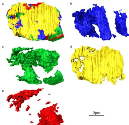 Figure I-9 : Images 3D des paquets de martensite à haute teneur en carbone au sein d'un ex-grain  austénitique parent : (a) microstructure complète (b), (c), (d),(e) paquets isolés [21] 