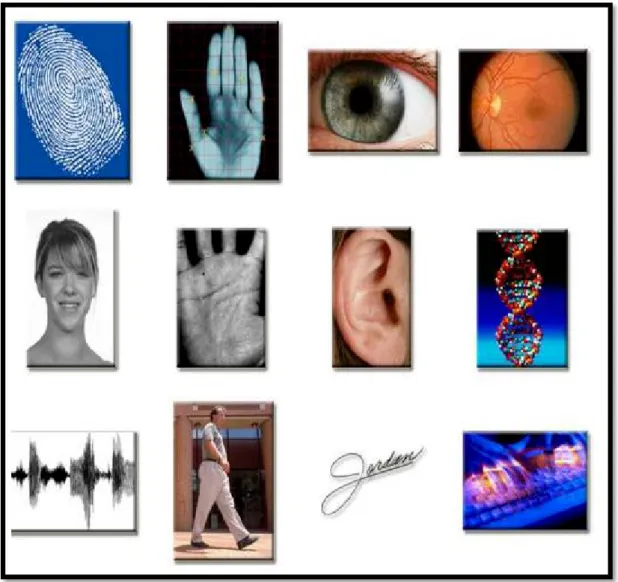 Figure 1.1:illustration de la diversité des techniques biométriques. 