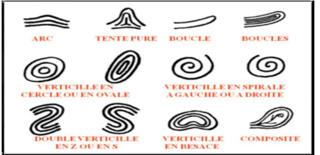 Figure 2.11: Architecture générale d'un système complet de reconnaissance d'empreintes .