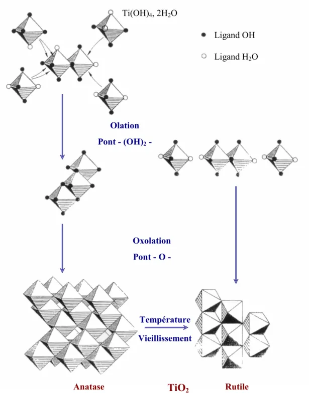 Figure   2-1  : L’obtention des formes cristallines du dioxyde de titane, anatase et rutile