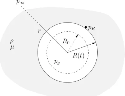 Figure 1.3 – Bulle seule en oscillation radiale dans un liquide infini.