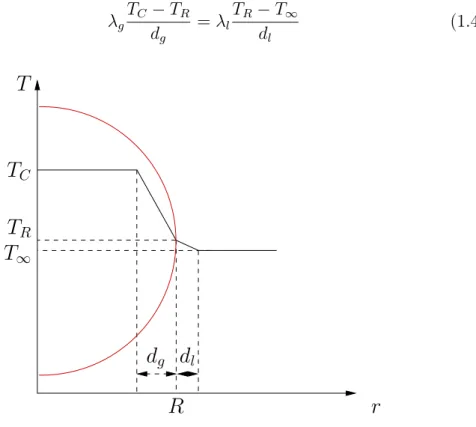 Figure 1.11 – Profil de temp´erature approximatif dans la bulle et dans le liquide lors de la compression.