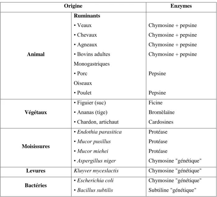 Tableau III : Origine des différentes enzymes utilisées pour coaguler le lait (NOUANI,  2009)