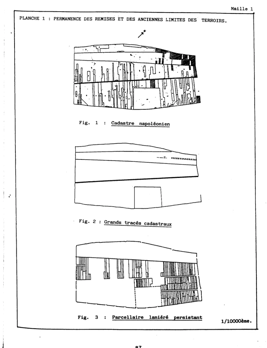 Fig.  1  :  Cadastre  napoléonien