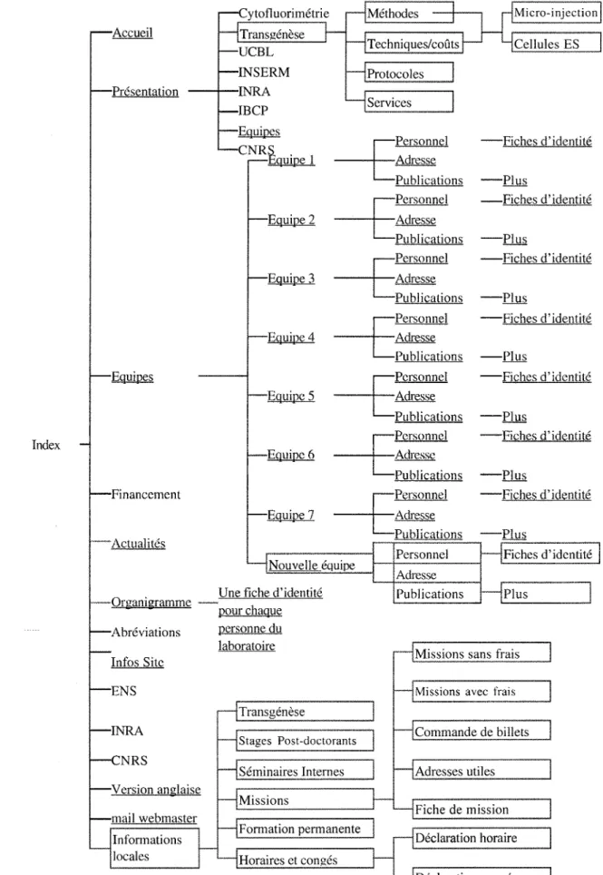 Figure  12 : Structure  du  site  du  LBMC  apres  modifications 