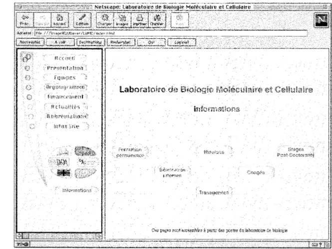 Figure  13  -  Page  cTaccueil  pour  les  informations  reservees  au  laboratoire. 