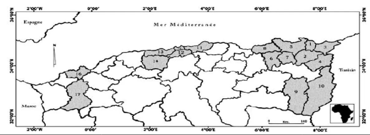 Figure 04. L'ensemble des wilayas dans lesquelles les population d' intermissa ont été collectées les ruches