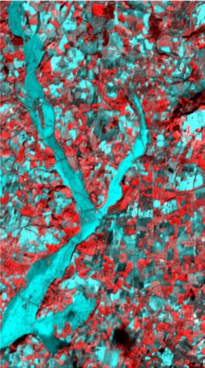 Figure 3.10: False color composite of the SPOT image. c CNES.