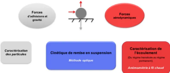 Figure I-10 : Schéma illustratif de la stratégie expérimentale pour étudier la remise en suspension 
