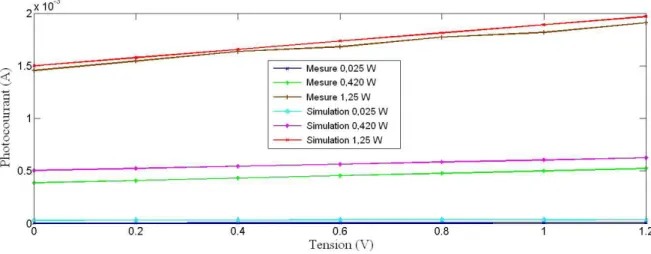 Figure II. 13.  Structure TCAD de la jonction P+/Nwell d’un transistor PMOS.