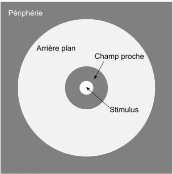 FIGURE 2.7 – Les quatre éléments du champ de visualisation (viewing ﬁeld).