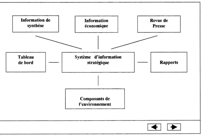 Figure 6. L'ccran d'acces au systcmc d'information stratcgiquc. 