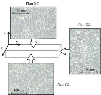 Figure 56 : Définition des plans d’observation et exemple de clichés de microscopie optique 