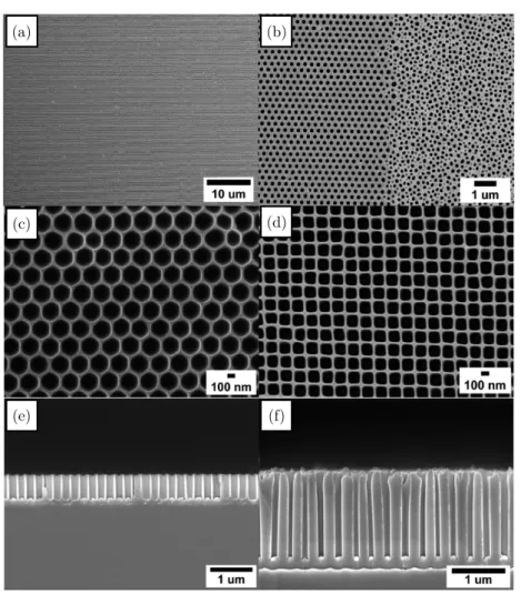 Figure 1 – Scanning Electron Microscopy images of a near-perfect ordered nanoporous alumina (Kustandi et al., 2010): (a)-(d) Top views