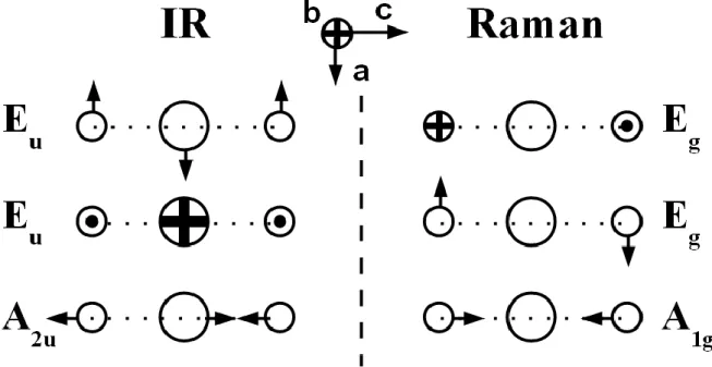 Figure 1: Schematic representation of the atomic motions for the various optical modes 