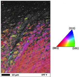 Fig. 19. EBSD phase map showing the FCC-Co phase in blue and the HCP-Co phase in red.