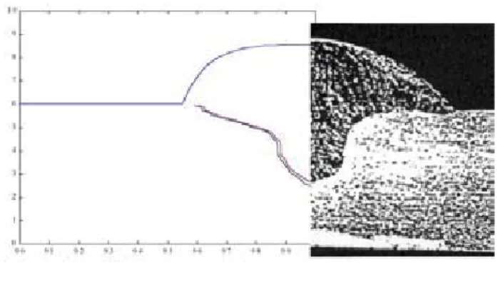 Figure 8. Comparison between predicted shape and real shape in a macrography