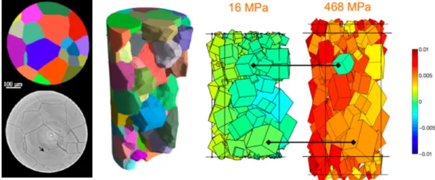 Figure  5:  3D  surface  renderings  of  the  grains  from  one  half  of  the  sample  after  IGSCC