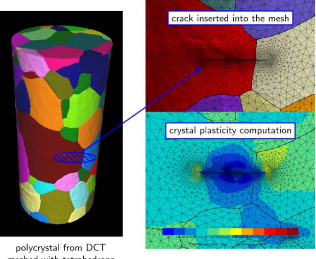 Figure  7:  a)  Finite  element  mesh  representation  the  sample  depicted  in  Figure  5c