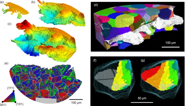 Figure 3: a-c)3D rendition of a fatigue crack in a Ti alloy reconstructed from phase  contrast tomography after 46, 61 and 75 *10 3   loading cycles