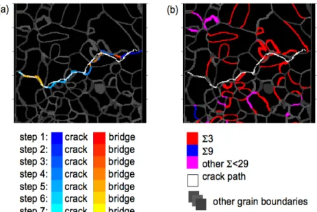 Figure  4:  a)  Cross-sectional  view  of  stress-corrosion  sample  with  the  crack  path  highlighted  in  white,  and  the  cracked  boundaries  and  crack  bridges  at  different  propagation steps colored in red and blue, respectively