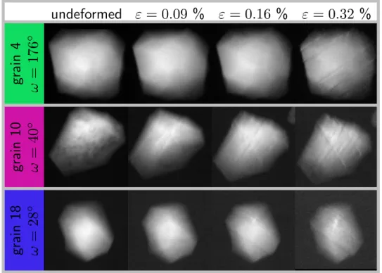 Figure 5. Topographs, integrated over Θ, in edge-on configuration for each grain of the cluster and different load levels; videos of the complete ω set are available as Supplementary Material for Grain 4 in the initial and deformed states.