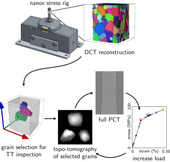 Figure 2. Sequence of the in situ topotomography experiment: the initial microstructure is characterized by DCT and analyzed after mounting the specimen into the Nanox device [15], then 23 complete sequences, each comprising three topotomography and one ph