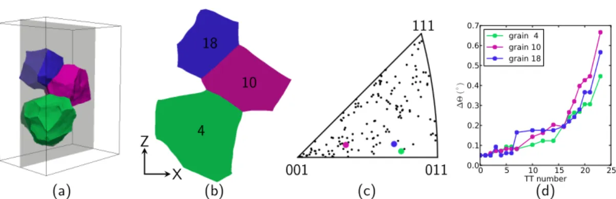 Figure 3. Details on the 3-grain cluster (a) 3D visualization of the grains (b); XZ slice through the 3 grains; (c) inverse pole figure of the gauge length with the 3 grain orientations of interest highlighted;