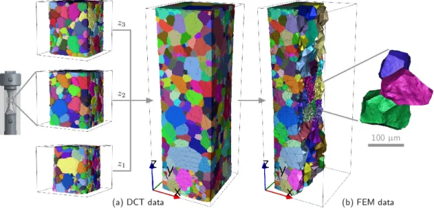 Figure 4. Comparison between the DCT data (a) and the mesh generated (b); the colors denote the grain numbers, which are consistent from the experiment to the simulation