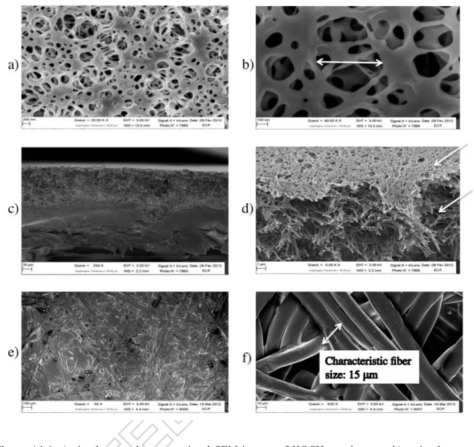 Figure A1-1: Active layer and cross-sectional SEM images of KOCH membranes  a,b) active layer  with mean pore size of 0.4  μ m c,d) membrane cross section with different layers,  e,f) mechanical  support 
