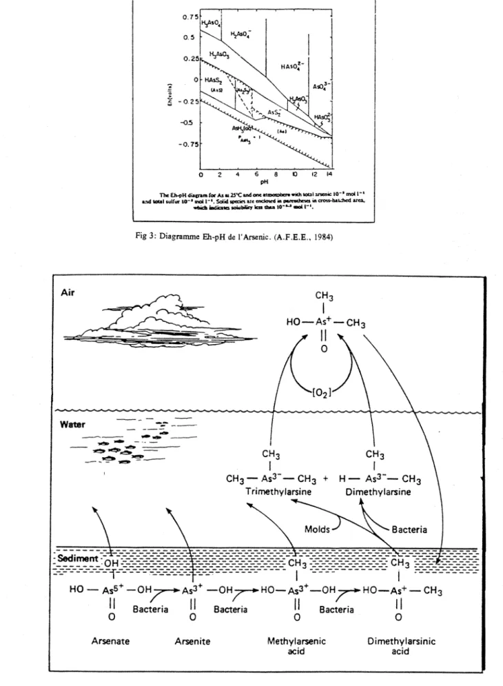 Fig 3: Diagramme  Eh-pH de  l'Arsemc. (A.F.E.E.,  1984) 