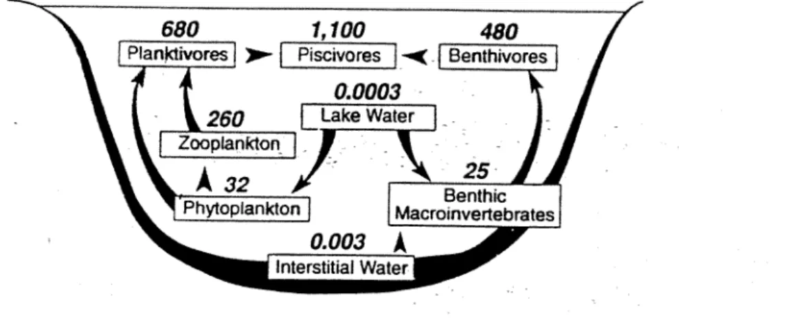Fig 7: Les  eoncentrations de methylmercure  (jigfKg)  dans ia chaine alimentaire du  lac  Onondaga .(Becker  et Bigham  1995) 