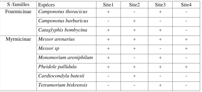 Tableau 5 – Liste globale des espèces de fourmis recensées dans les quatre milieux d’étude 