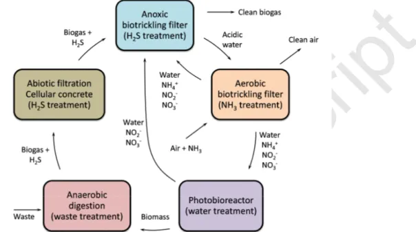 Figure 10 Pairing of bioprocesses for simultaneous removal of H 2 S and nitrogen ions at livestock  facilities 