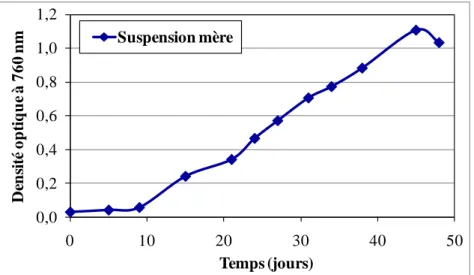 Figure 5.1 Densité optique de la suspension mère en fonction du temps,(50 mL d’une culture  d’algues conservée à 4°C, dilués dans 400 mL de milieu Bold de base) 