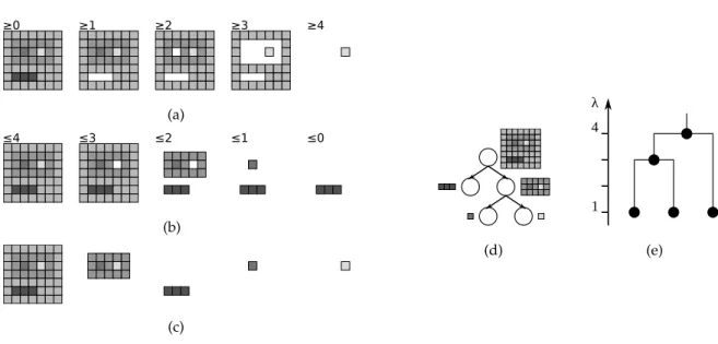 Figure 3.2: Subfigures (a) and (b) show upper and lower level sets of the image from Figure 3.1(a)