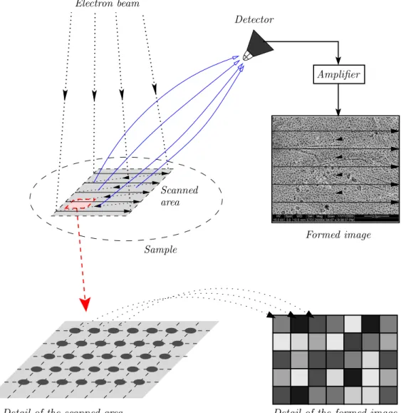 Fig. 2.4 — Image formation: images of the SEM are formed pixel per pixel following a rastering process (up) where each pixel represents a small area onto the specimen (bottom).