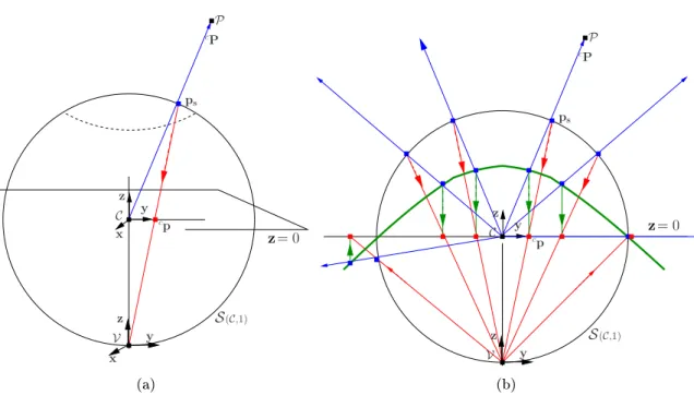 Fig. 1.11  Cas des sytèmes de vision paraatadio ptrique où ξ = 1 : (a) projetion