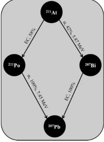 Figure 1.3 Illustration of the two decay branches of  211 At. EC stands for electron capture