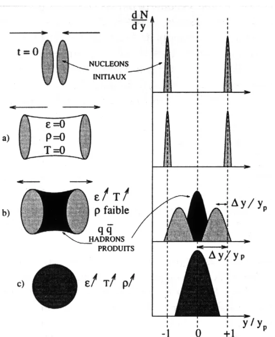 Figure 1.2 Pouvoir d'arrêt [1]: a) les noyaux se traversent sans interagir. b) ralentissement des noyaux : densité baryonique faible, Y convertie en densité d'énergie