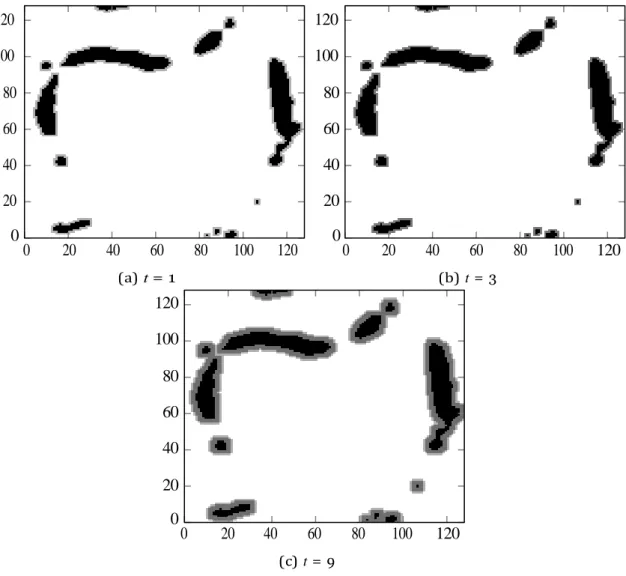 Figure  III.6  –  Use  of  mathematical  morphology  in  LBM  to  simulate  bone  growth  from  images