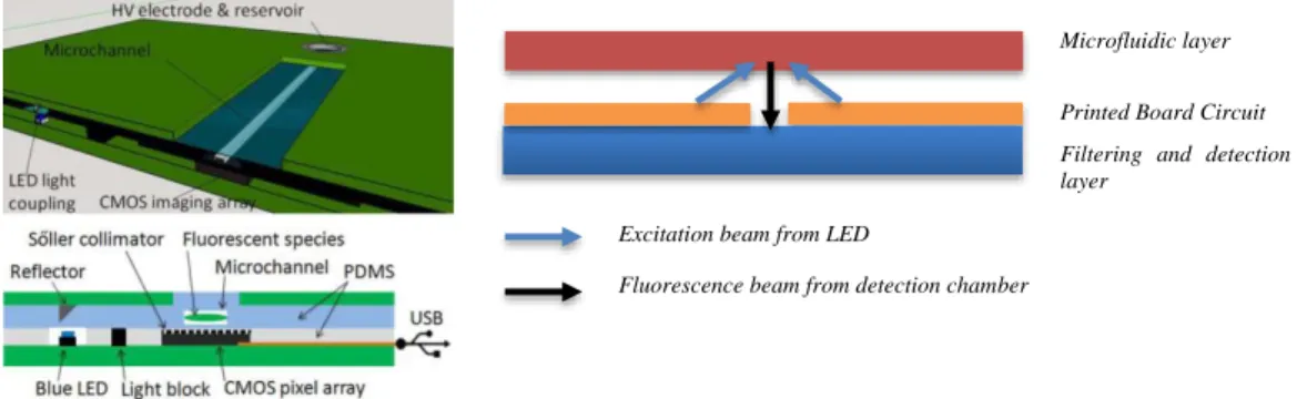 Figure 1:  Left - Cross-sectional diagram of the microfluidic PCB system, reprinted from [1]
