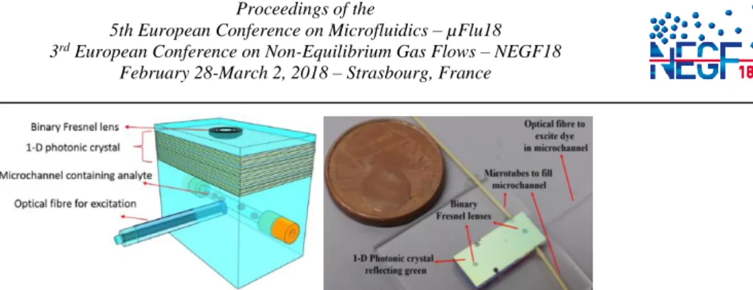 Figure 4: Microfluidic chip with the Fresnel lens, composed of a fluidic channel, an excitation fiber perpendicular to it  and a filtering and collection part on the top surface
