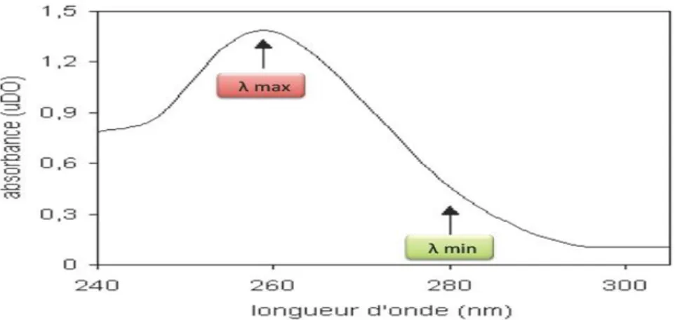 Figure V.1: Courbe l'absorbance en fonction de la longueur[1].