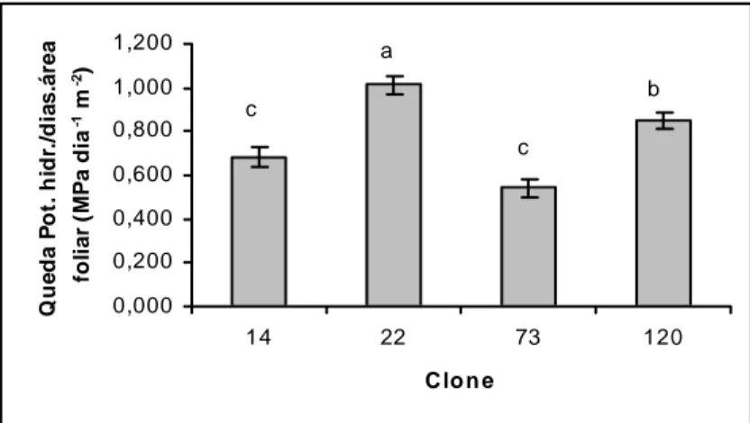 Figura 1. Queda do potencial hídrico antemanhã (ψ am ) em clones de C. canephora submetidos ao déficit  hídrico até ψ am  -3,0 MPa