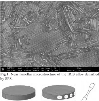 Fig.  2. (a) SPS disk of 100 mm in diameter and 15 mm in  tickness of IRIS alloy with near lamellar microstructure